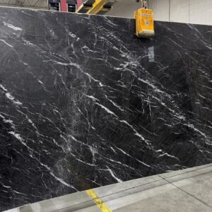 Black Swan #2303